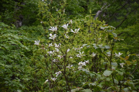 c0242406_12393402.jpg