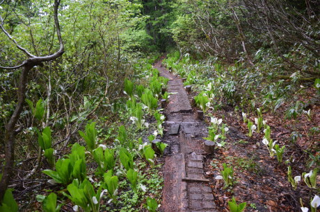 c0242406_12404895.jpg