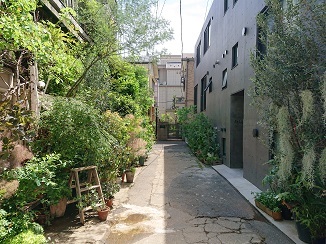 d0091909_12450605.jpg