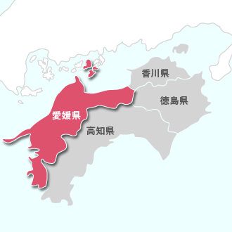 愛媛の旅 その1_e0000910_10212557.jpg