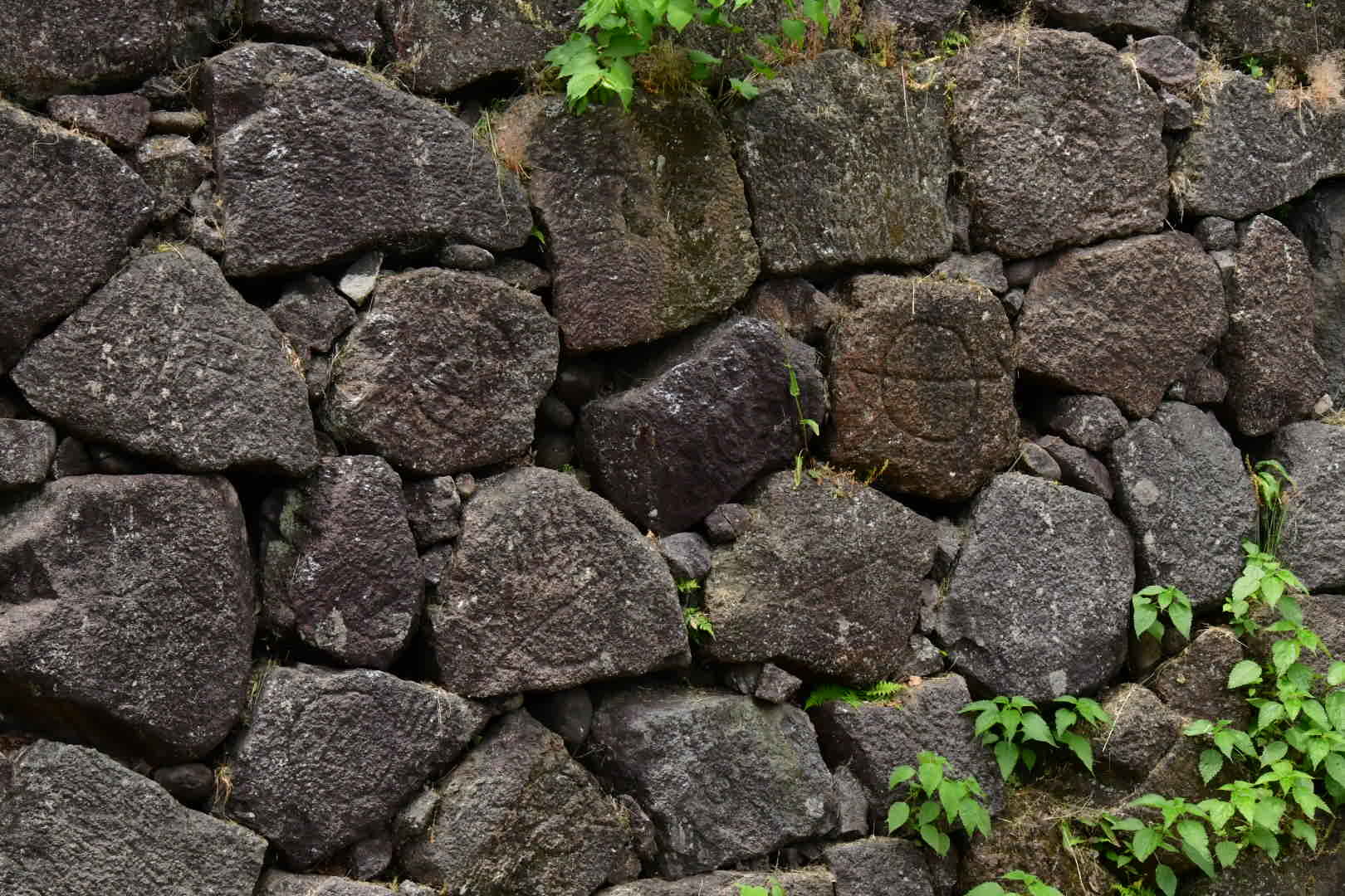 カガノタビ その6_b0223512_00535905.jpeg