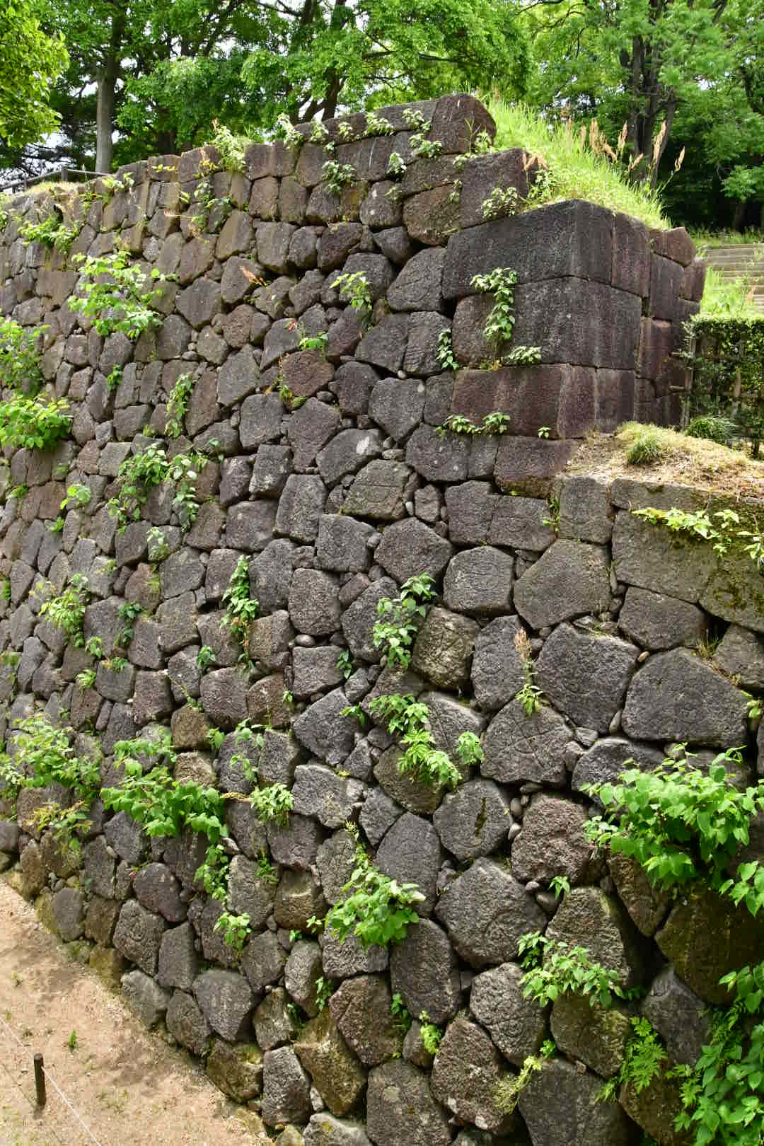 カガノタビ その6_b0223512_00541811.jpeg