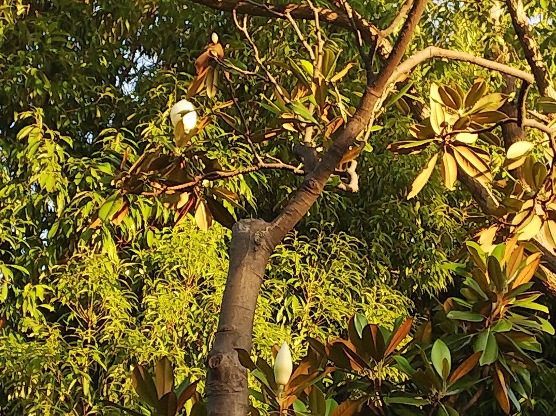 a0098418_11190389.jpg