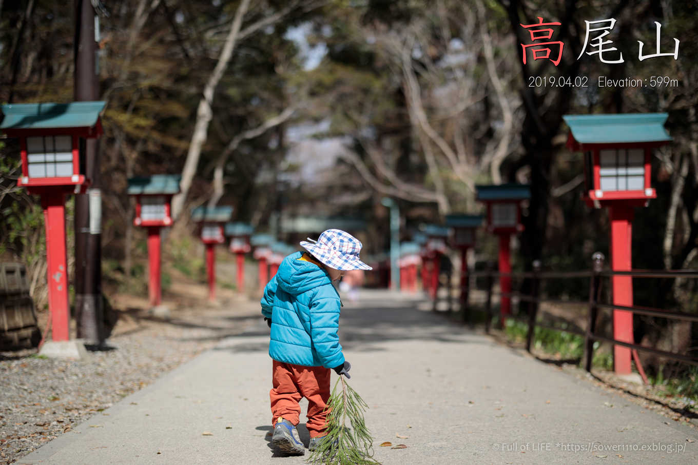 3歳5歳ちびっ子兄弟の春登山「高尾山」下山編_c0369219_14484312.jpg