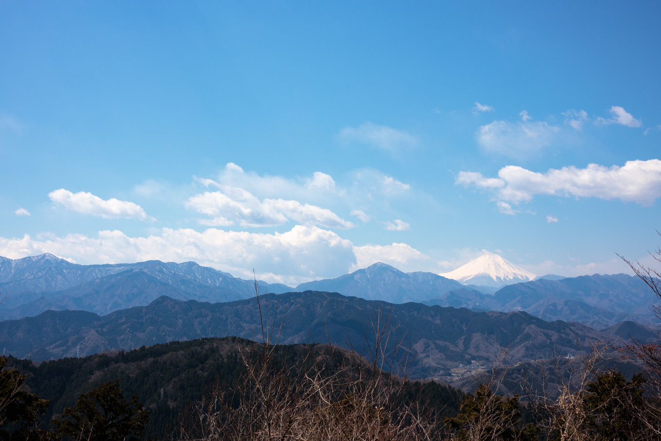 3歳5歳ちびっ子兄弟の春登山「高尾山」下山編_c0369219_17315828.jpg