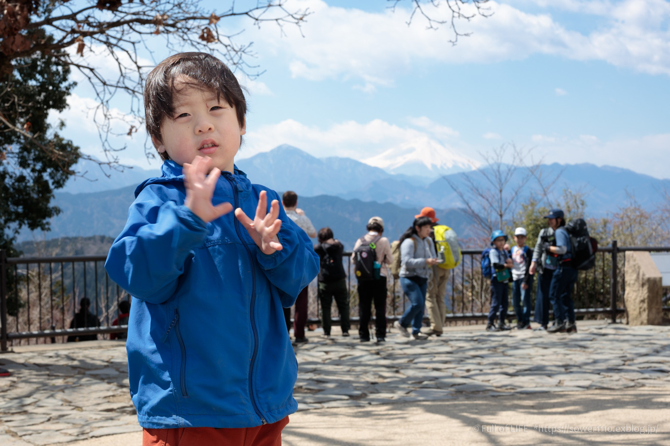 3歳5歳ちびっ子兄弟の春登山「高尾山」下山編_c0369219_17400077.jpg