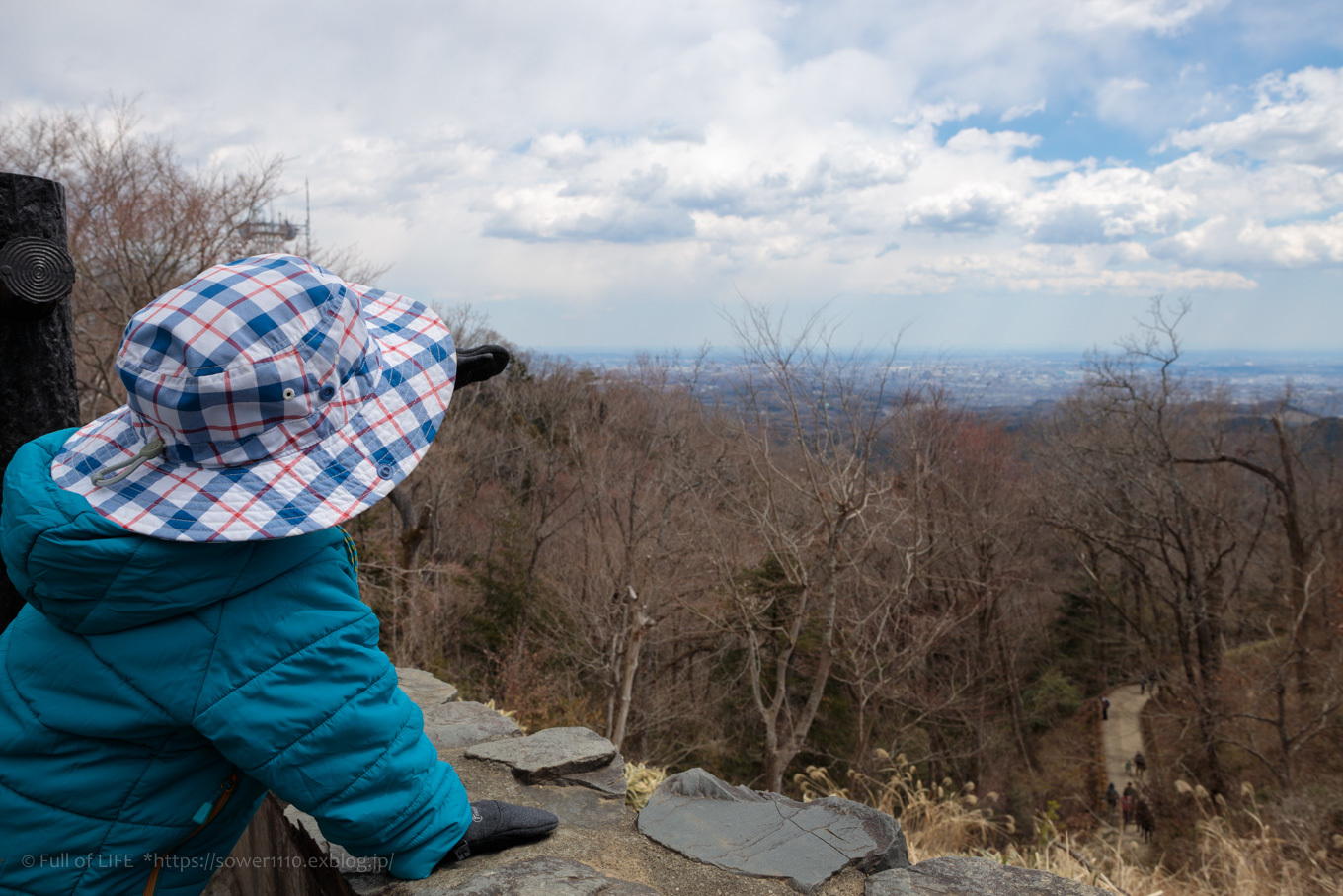 3歳5歳ちびっ子兄弟の春登山「高尾山」下山編_c0369219_18065081.jpg