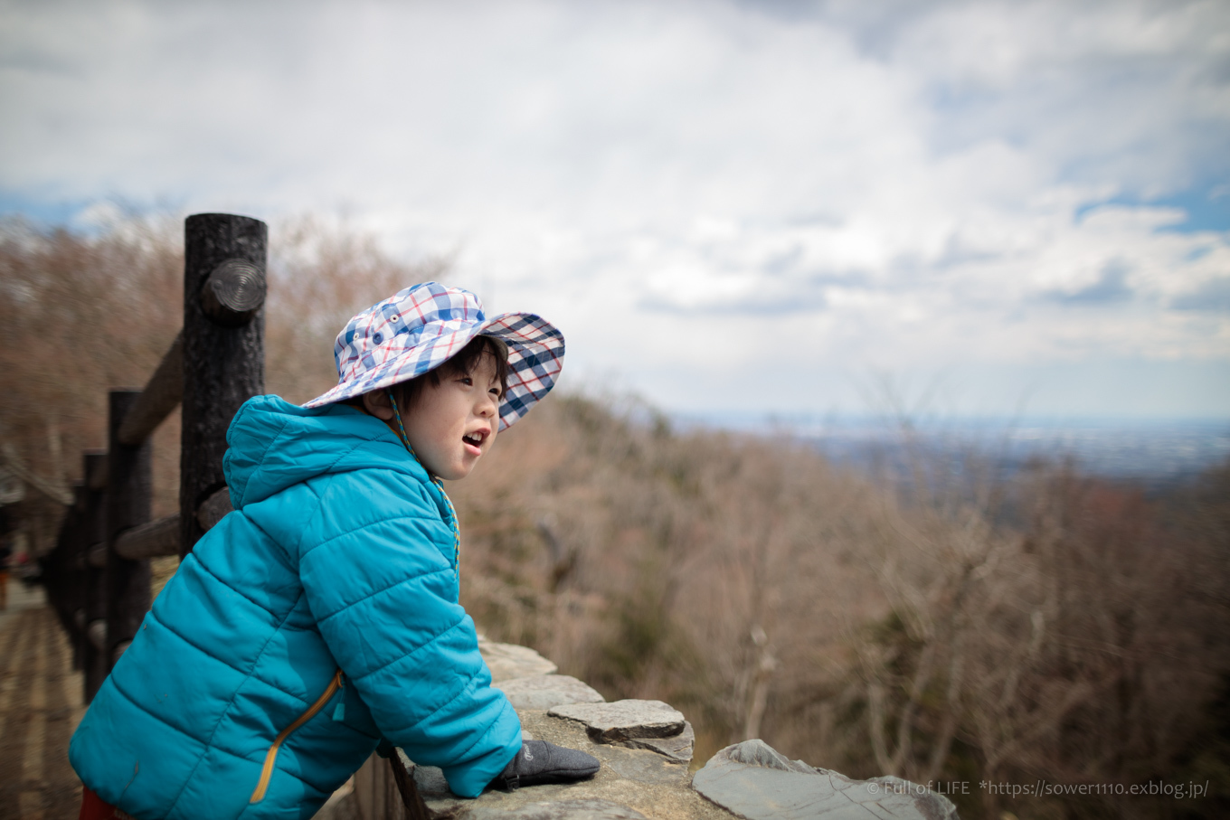 3歳5歳ちびっ子兄弟の春登山「高尾山」下山編_c0369219_18082206.jpg