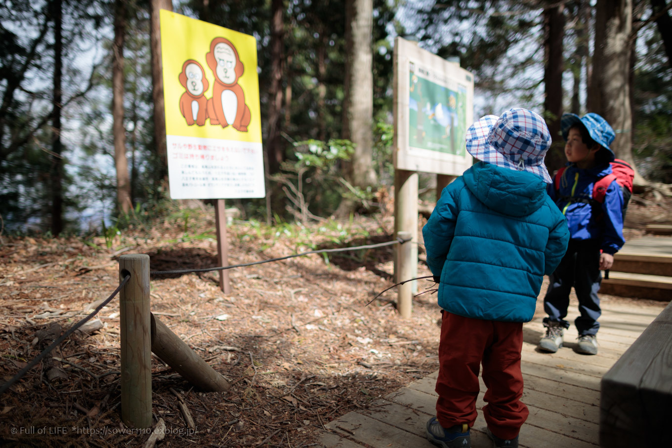 3歳5歳ちびっ子兄弟の春登山「高尾山」下山編_c0369219_18164986.jpg