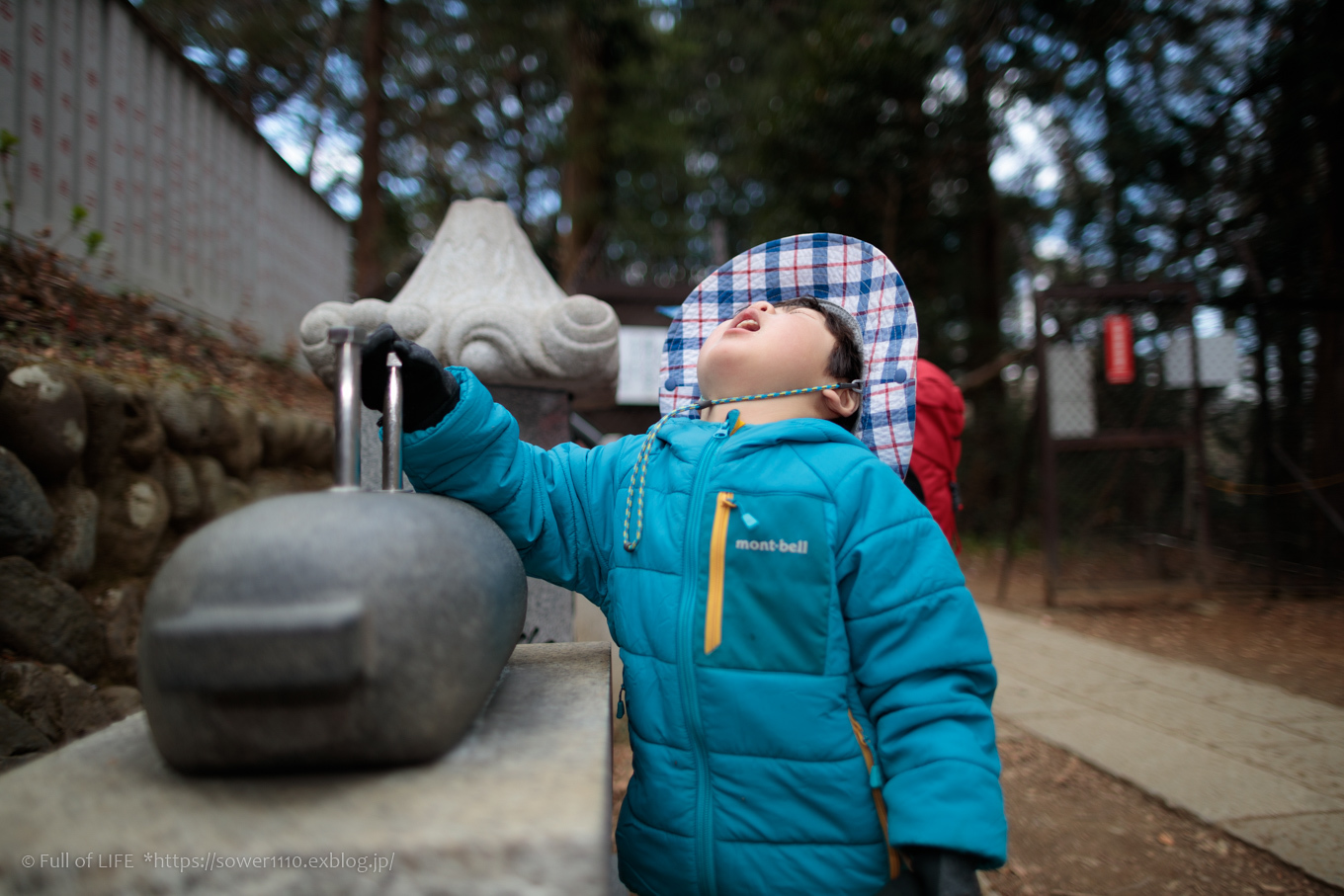 3歳5歳ちびっ子兄弟の春登山「高尾山」下山編_c0369219_18232591.jpg