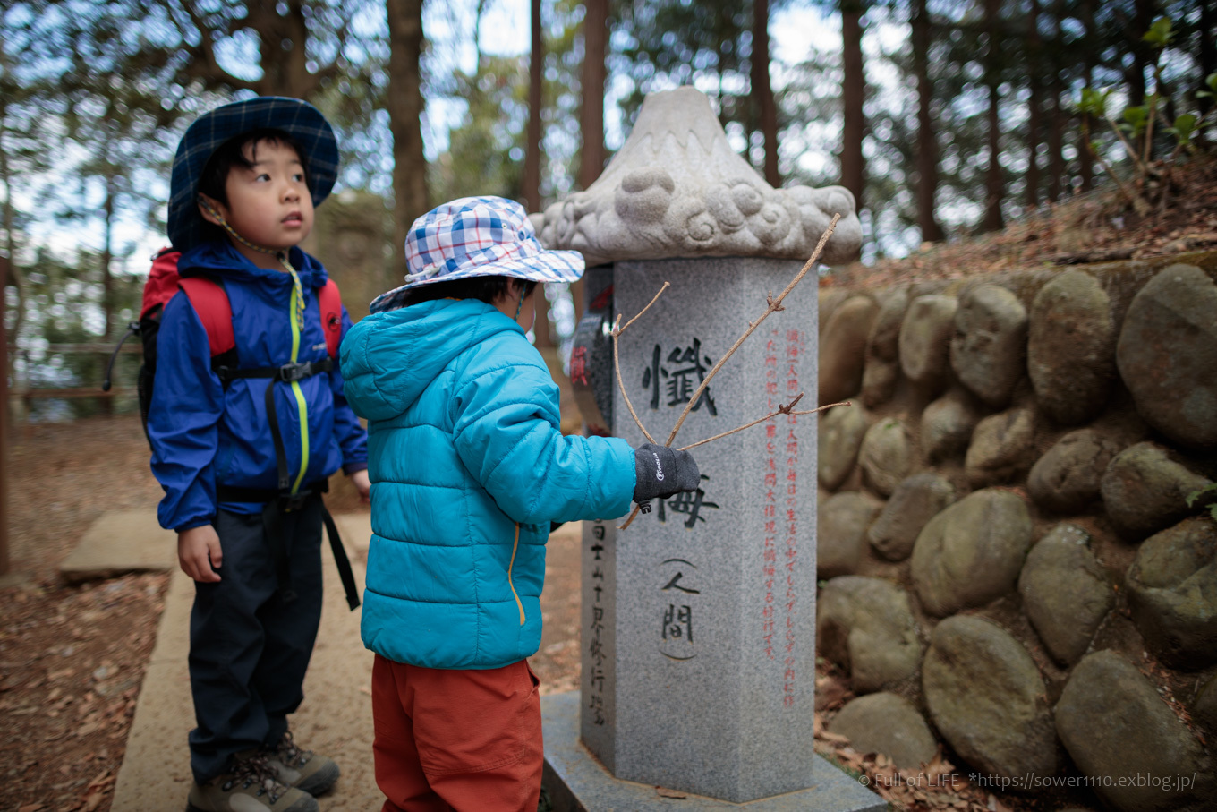 3歳5歳ちびっ子兄弟の春登山「高尾山」下山編_c0369219_18380637.jpg