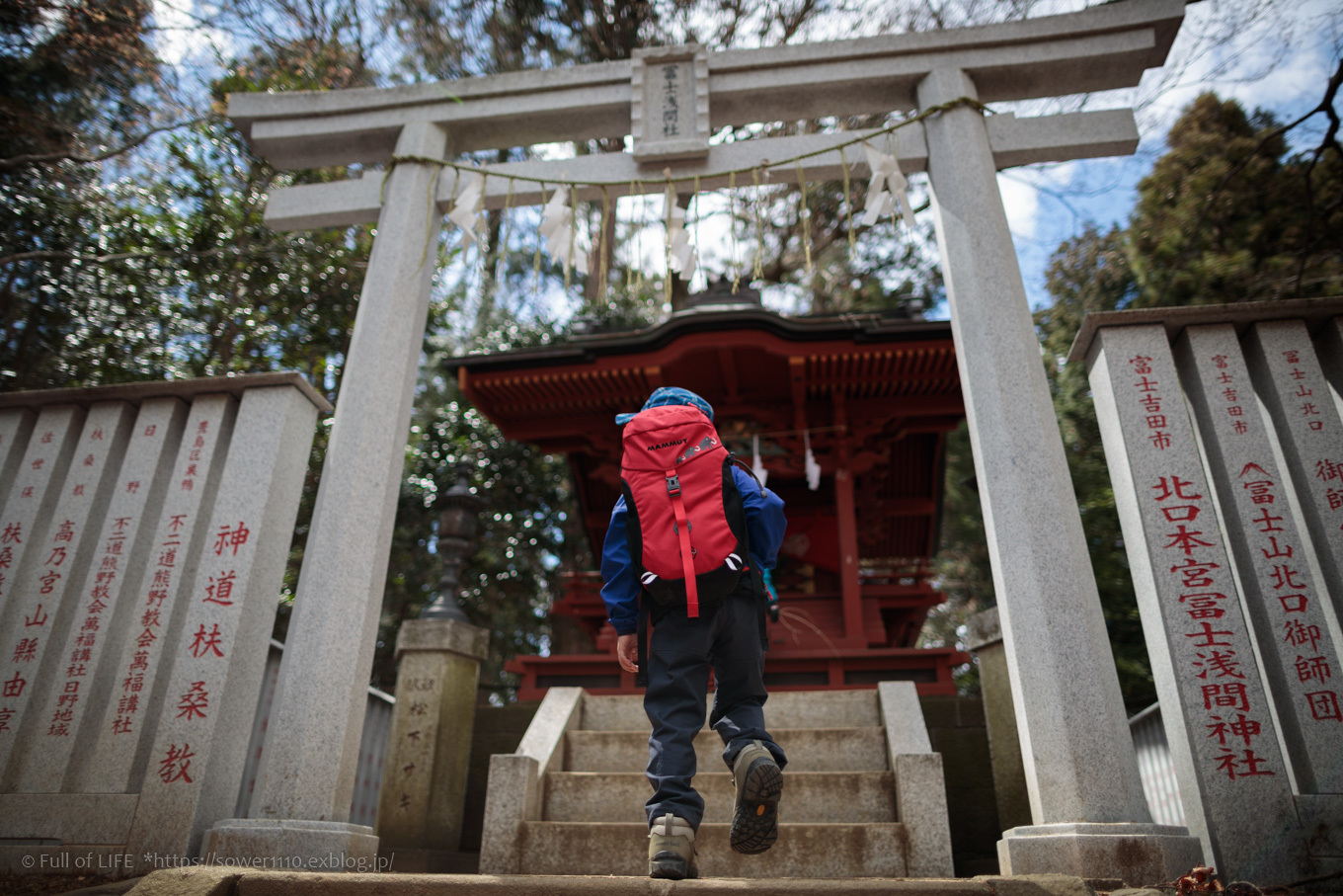 3歳5歳ちびっ子兄弟の春登山「高尾山」下山編_c0369219_19135931.jpg