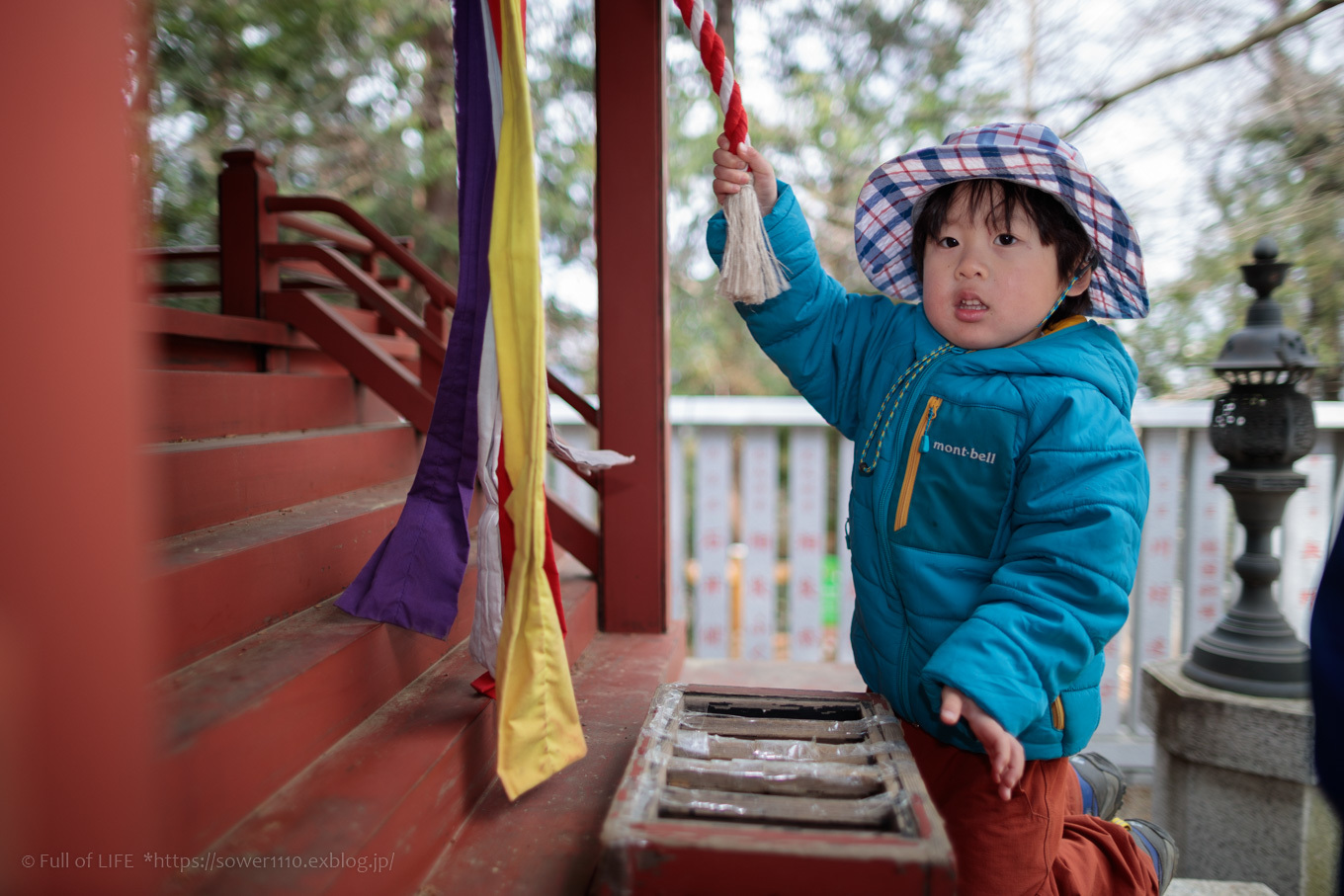 3歳5歳ちびっ子兄弟の春登山「高尾山」下山編_c0369219_19151875.jpg