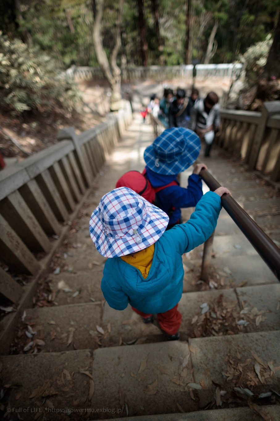 3歳5歳ちびっ子兄弟の春登山「高尾山」下山編_c0369219_19165319.jpg