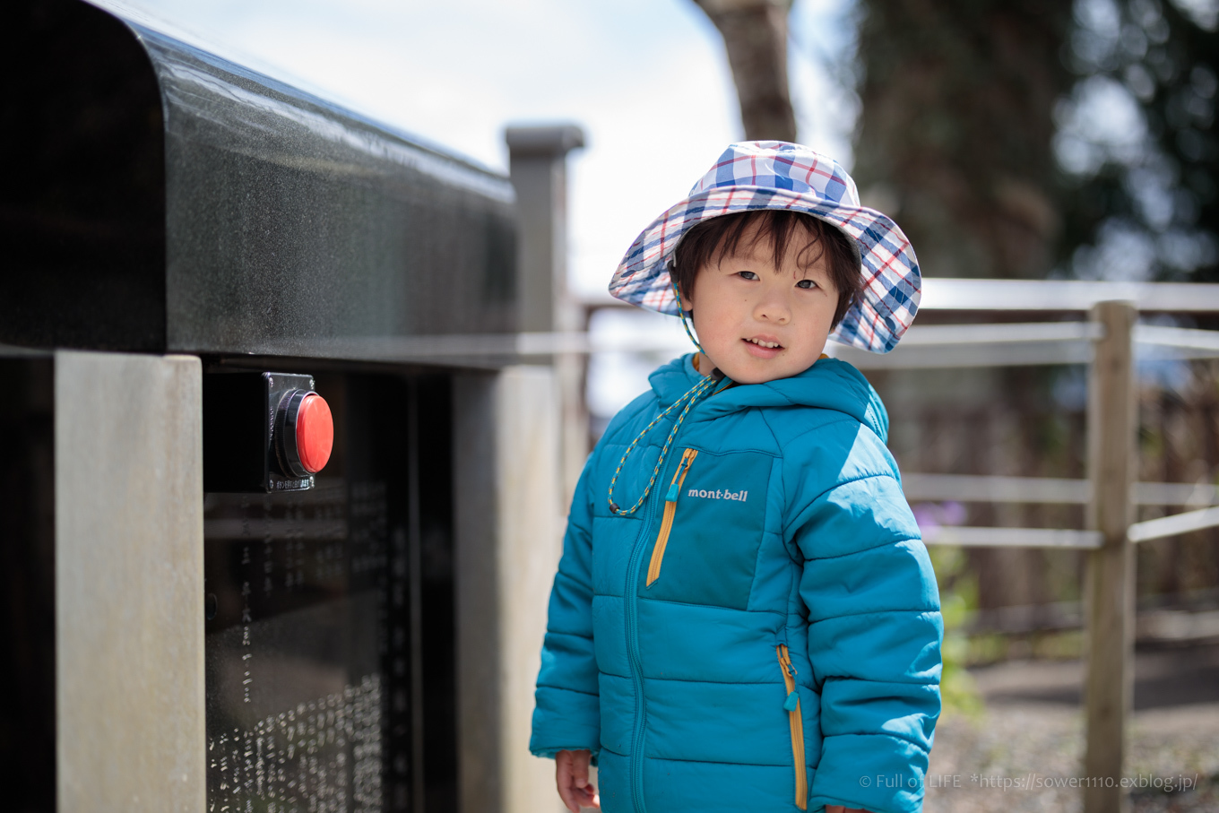 3歳5歳ちびっ子兄弟の春登山「高尾山」下山編_c0369219_23440563.jpg