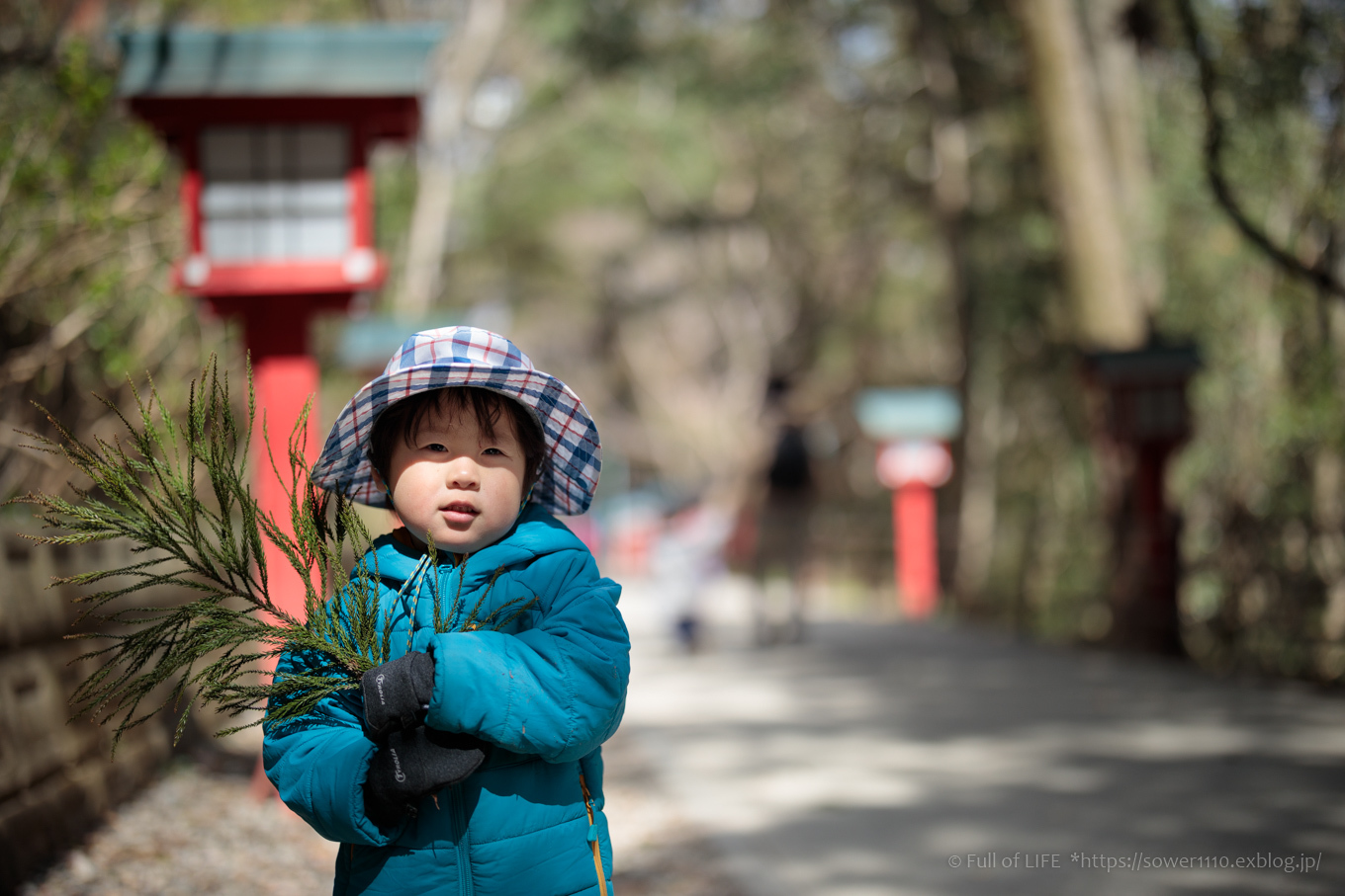 3歳5歳ちびっ子兄弟の春登山「高尾山」下山編_c0369219_23505308.jpg