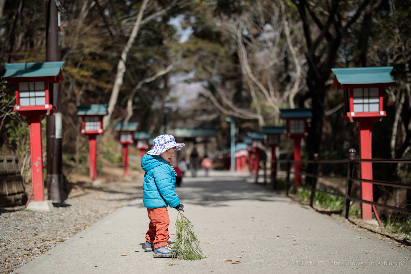 3歳5歳ちびっ子兄弟の春登山「高尾山」下山編_c0369219_23551163.jpg