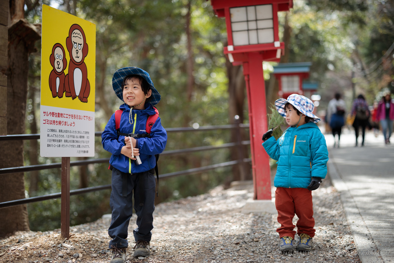 3歳5歳ちびっ子兄弟の春登山「高尾山」下山編_c0369219_23594899.jpg