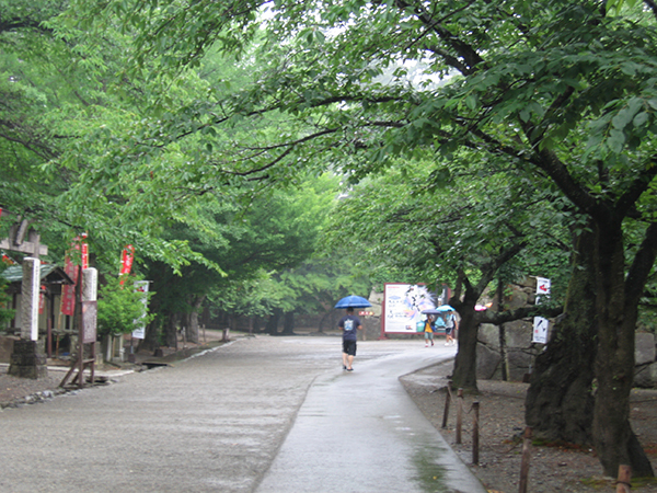 f0097523_16425948.jpg