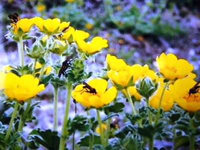 c0204725_01025620.jpg