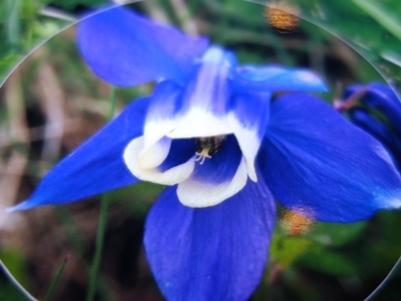 c0204725_01084009.jpg