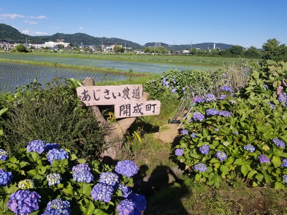d0162225_22512949.jpg