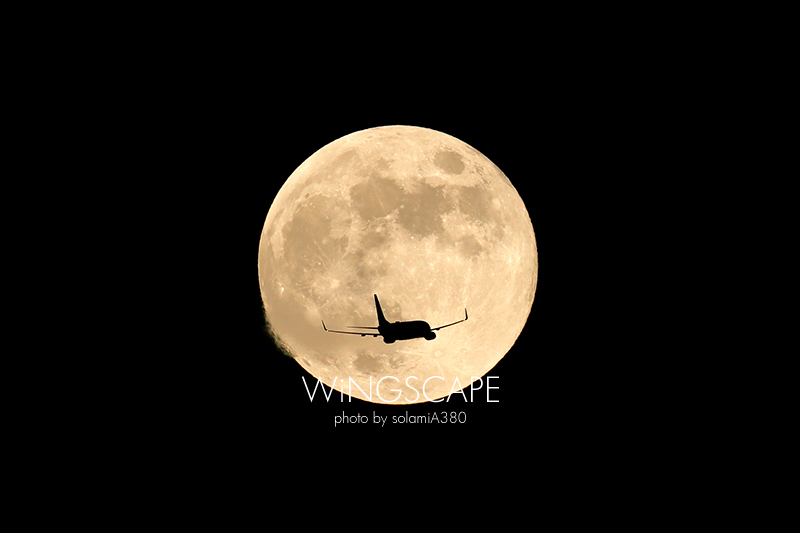 WiNGSCAPE