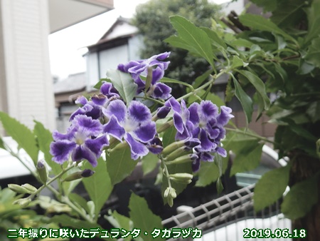e0033229_18271946.jpg