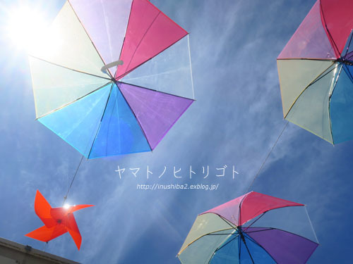 お色直し_e0394031_06163327.jpg
