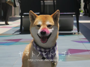 お色直し_e0394031_06163871.jpg