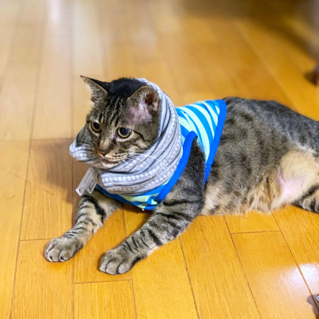 フ、ファッションリーダー?!_d0355333_13501806.jpg