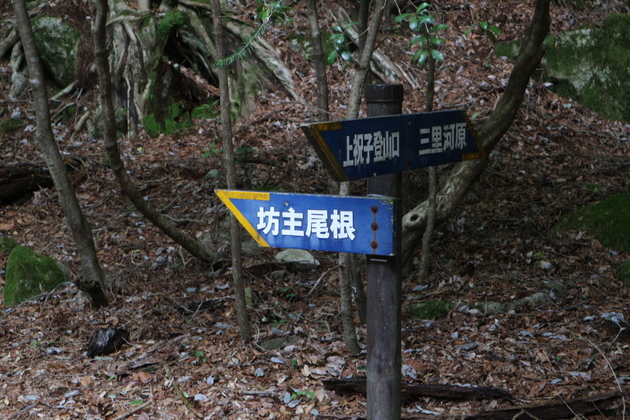 e0272335_10135785.jpg