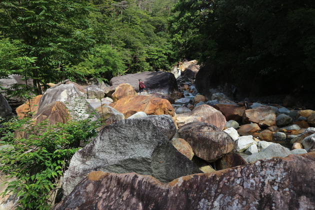 e0272335_10153646.jpg