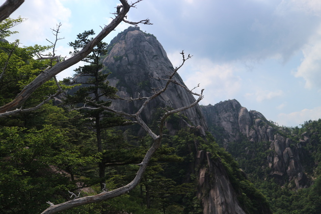 e0272335_1058541.jpg