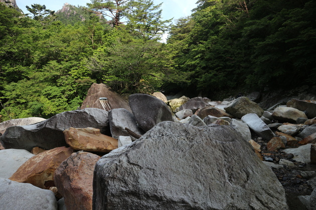 e0272335_1064353.jpg