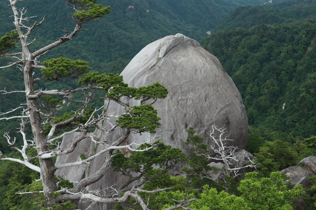 e0272335_1113450.jpg