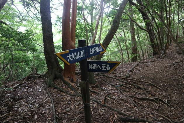 e0272335_1124449.jpg
