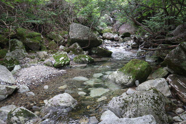 e0272335_1155666.jpg