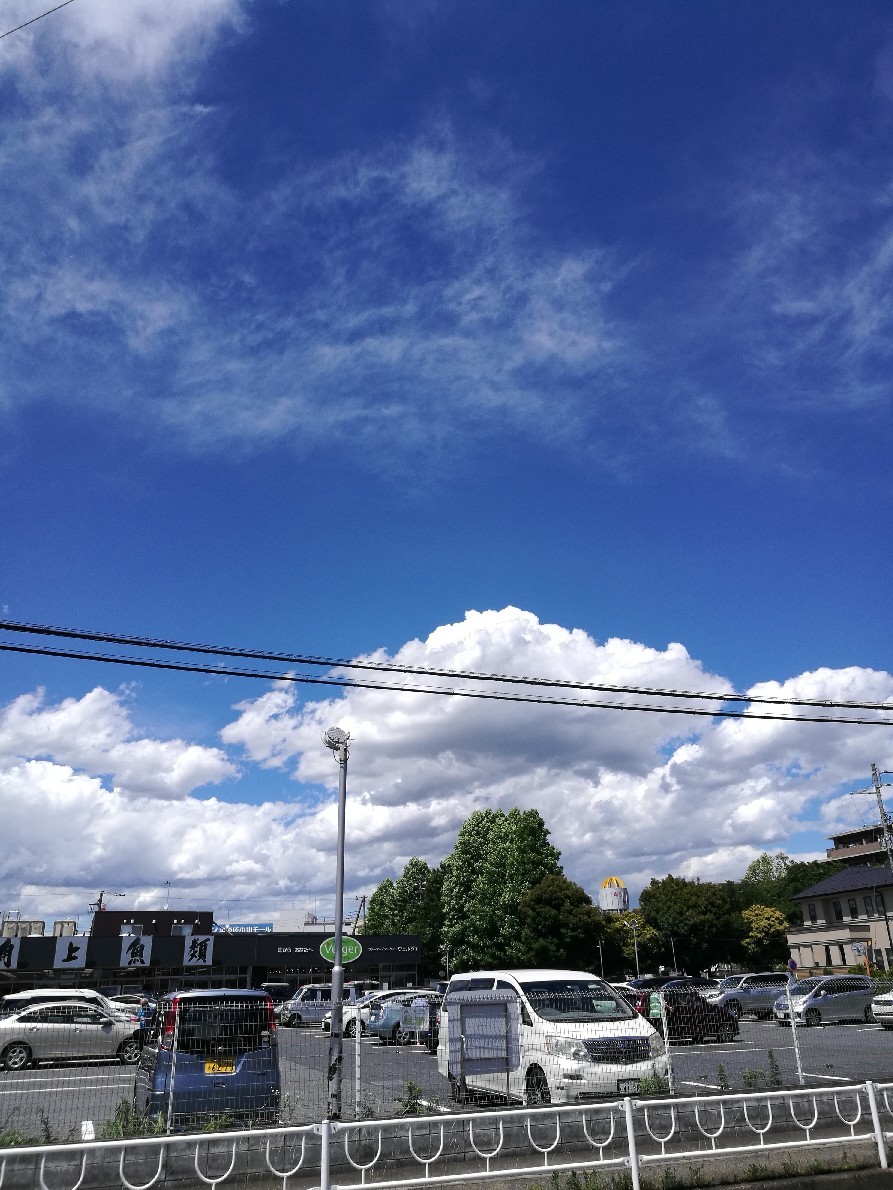 a0037043_20094899.jpg