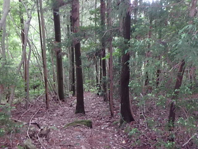 f0334143_7264749.jpg