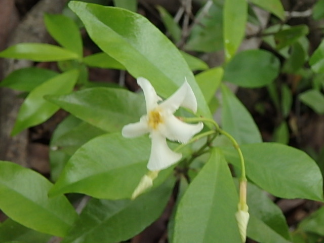 f0334143_7272020.jpg