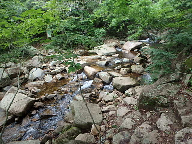 f0334143_7273266.jpg