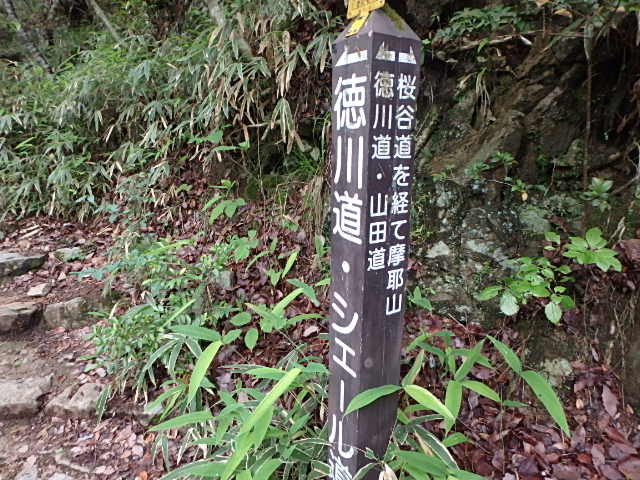 f0334143_7274644.jpg