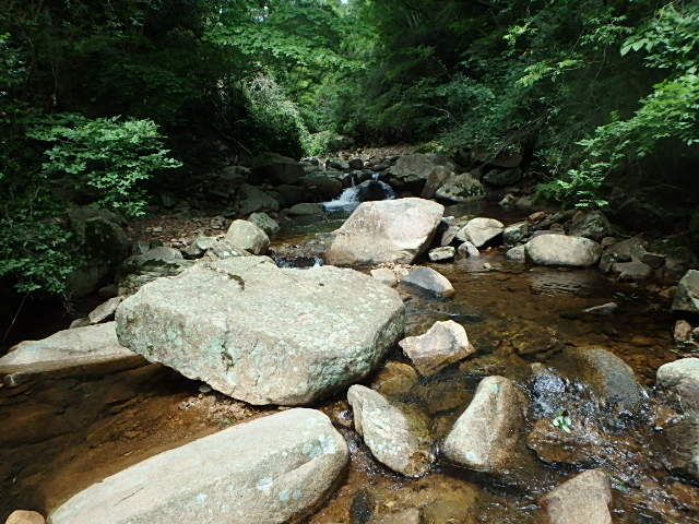 f0334143_728118.jpg
