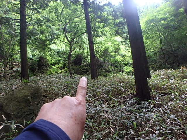 f0334143_7333883.jpg