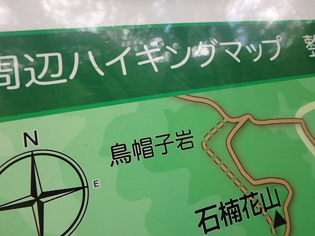 f0334143_7351671.jpg