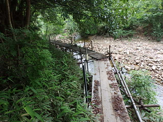 f0334143_7403197.jpg