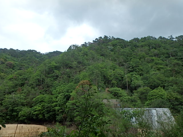 f0334143_7411797.jpg