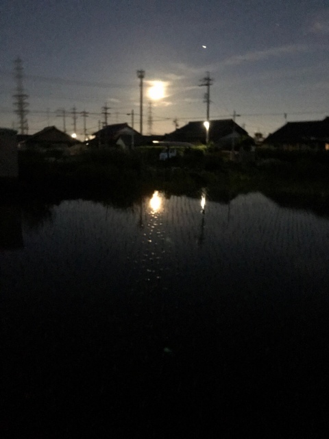 月見_d0101846_06020137.jpeg