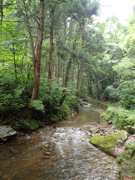 f0214649_04064466.jpg